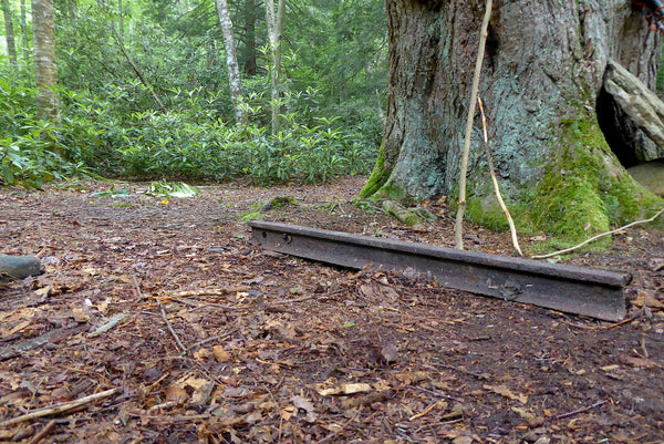 Otter Creek Wilderness WV