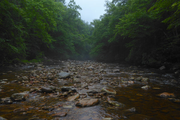 Otter Creek Wilderness WV