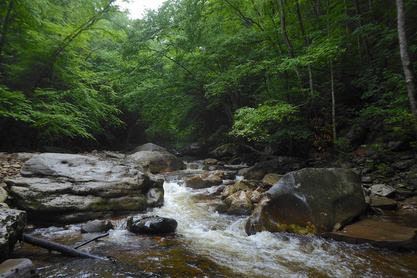 Otter Creek Wilderness WV