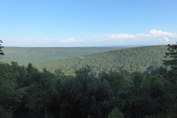 Hubler Gap Vista