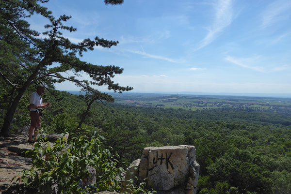 Michaux State Forest PA