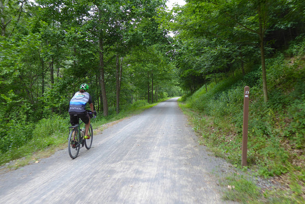 Pine Creek Rail Trail