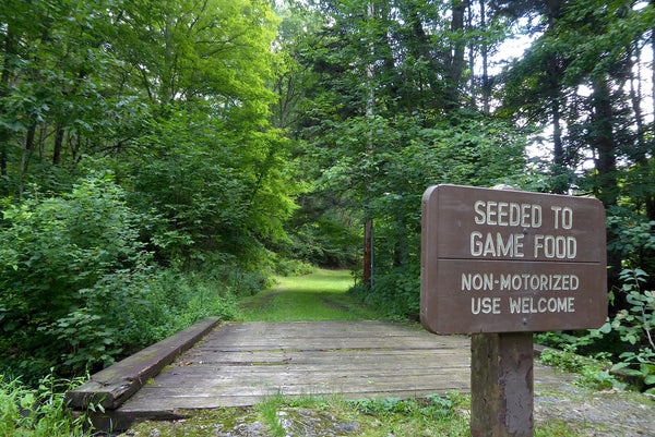 Middle Mountain Cabins WV