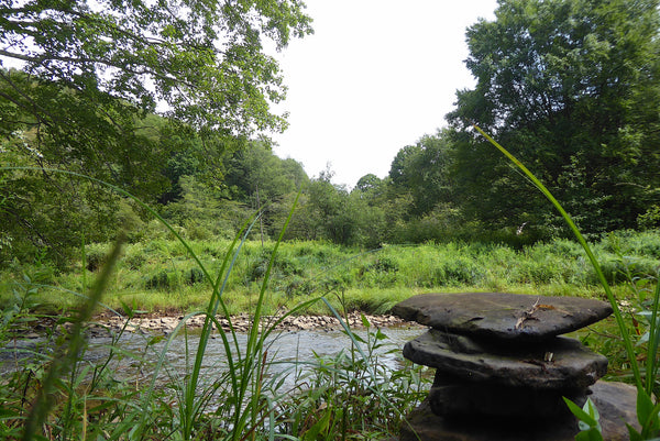 Smoke Camp Run Trail Cairn West Virginia