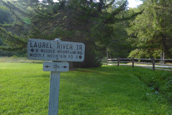 Laurel River Trail Laurel Fork Campground West Virginia