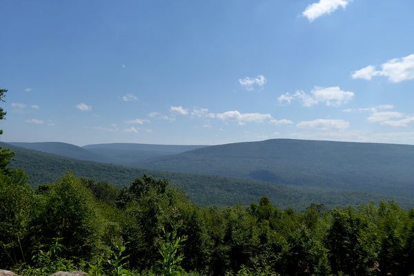 Wampler Vista Rothrock State Forest PA