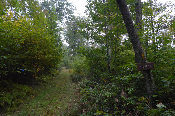 Stone Trail Tioga State Forest PA