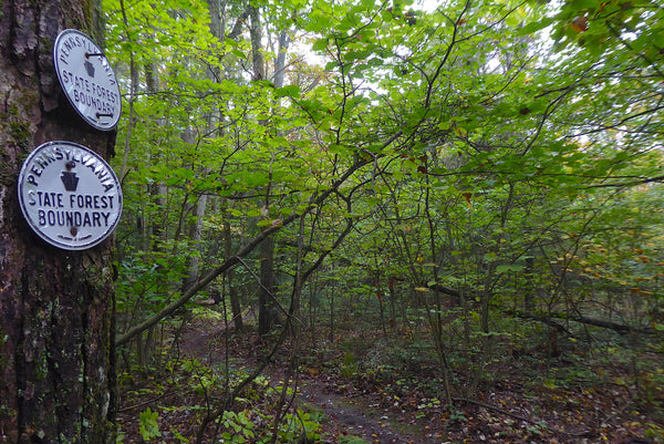 Pennsylvania State Forest Boundary Marker