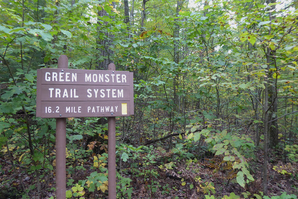 Green Monster Loop Tioga State Forest PA
