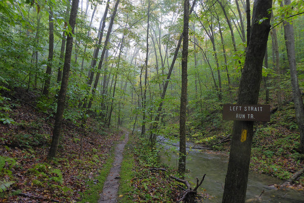 Straight Run Trail