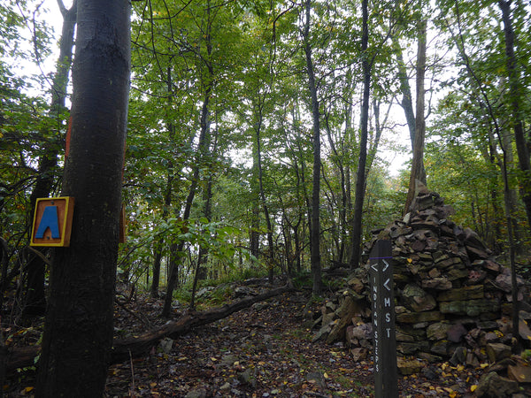 Mid State Trail Rothrock State Forest PA