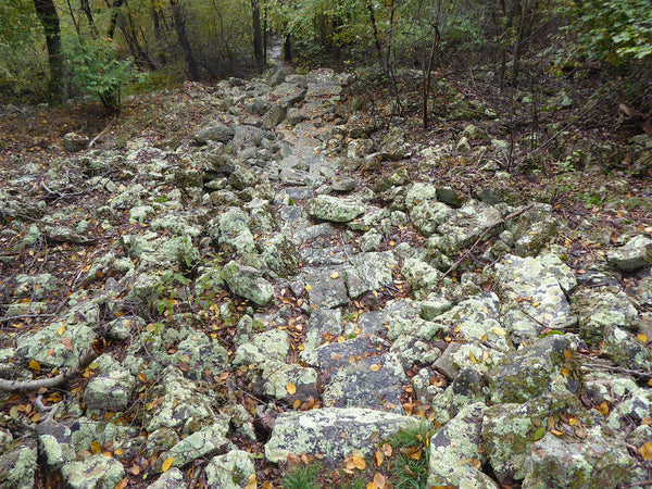 Indian Steps Rothrock State Forest PA