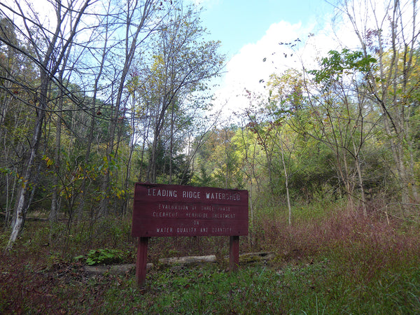 Ironstone Loop Trail Rothrock State Forest PA