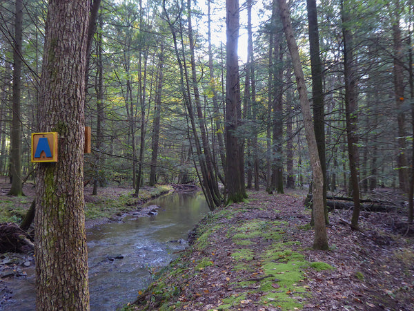 Ironstone Loop Rothrock State Forest PA