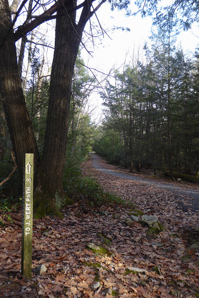 North Meadows Road Rothrock State Forest PA