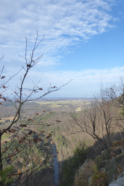 Yellow Arrow Trail, Indian Lookout, Rothrock State Forest PA