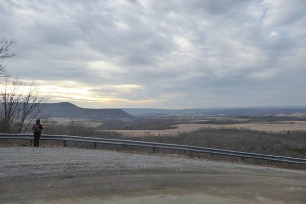 Colerain Road Rothrock State Forest PA