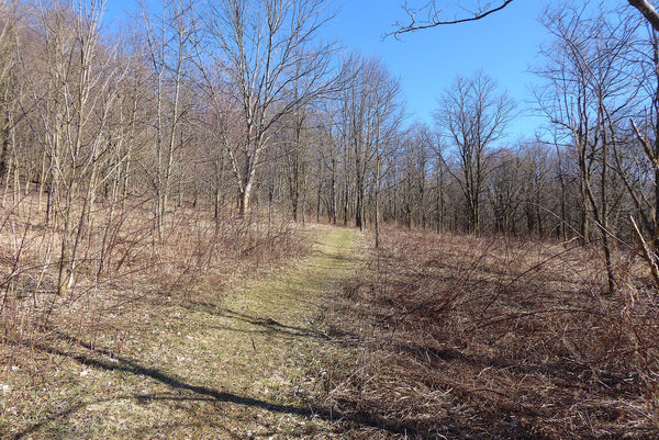 Ohiopyle State Park, Laurel Highlands Pennsylvania