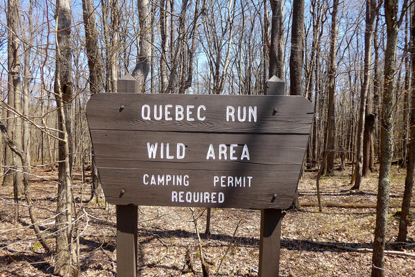 Quebec Run Wild Area, Forbes State Forest, Laurel Highlands, Pennsylvania