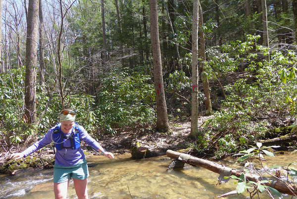 Quebec Run Wild Area, Forbes State Forest, Laurel Highlands, Pennsylvania