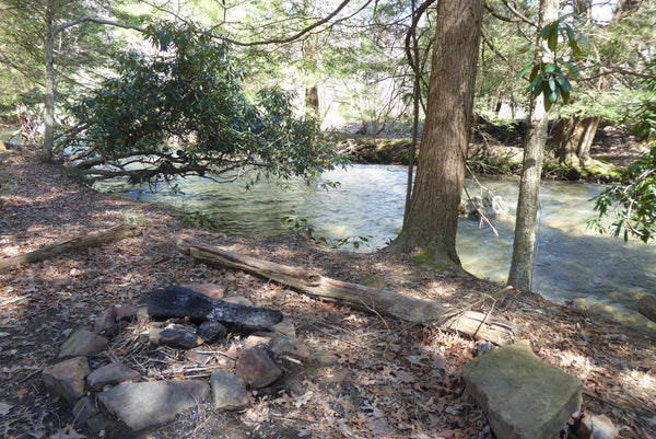 Quebec Run Wild Area, Forbes State Forest, Laurel Highlands, Pennsylvania