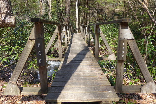 Quebec Run Wild Area, Forbes State Forest, Laurel Highlands, Pennsylvania