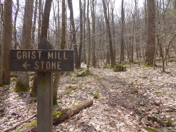 Lick Hollow Picnic Area Forbes State Forest PA