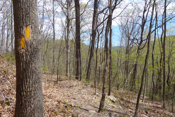 Ohiopyle State Park Pennsylvania