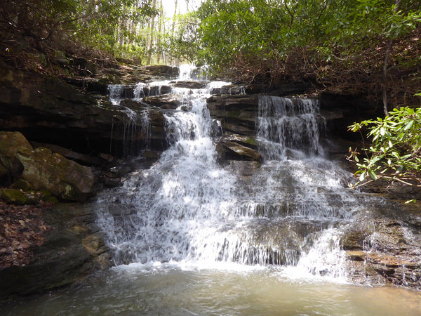 Waterfalls Ohiopyle State Park PA