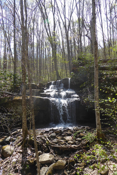 Fetcher Run Falls Ohiopyle State Park Pennsylvania