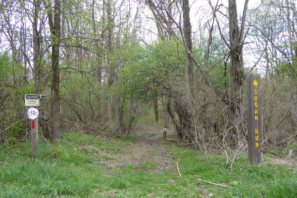 Sugar Run Trail Ohiopyle State Park Pennsylvania