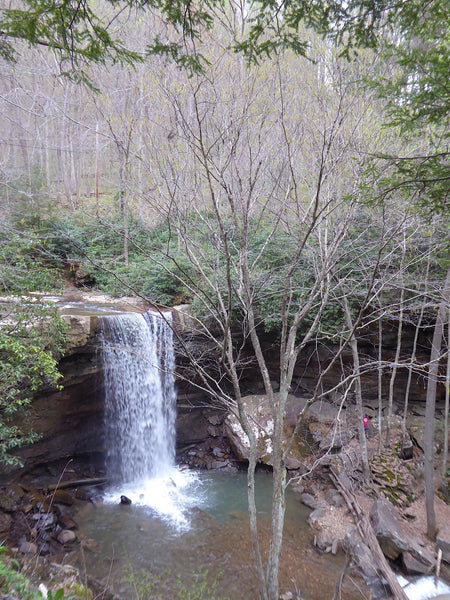 Cucumber Falls Ohiopyle State Park Pennsylvania