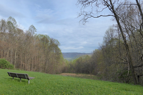 Kentuck Knob Campground Ohiopyle State Park PA