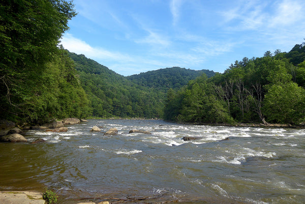 Lower Youghiogheny River Ohiopyle State Park PA