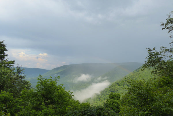 Baughman's Rock Ohiopyle State Park Pennsylvania