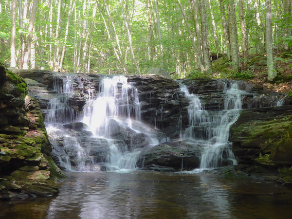 Loyalsock State Forest, Pennsylvania