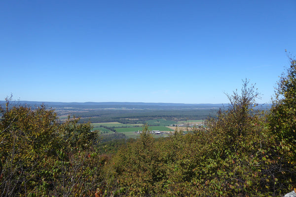 Mid State Trail Rothrock State Forest PA