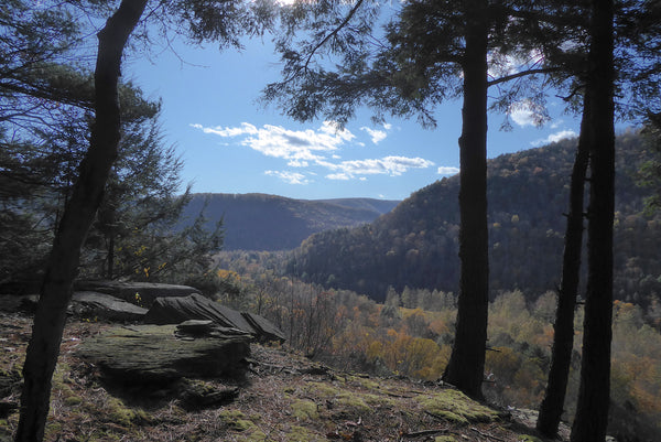 Rough Hill Trail Loyalsock State Forest PA