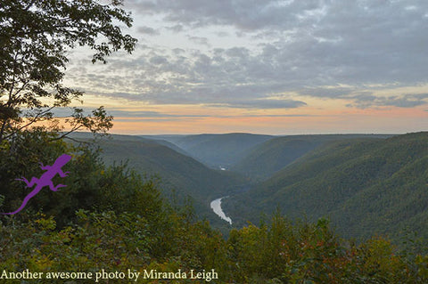 Pine Creek: Canyon view by Miranda Leigh