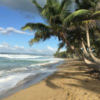 Rincon Puerto Rico Purple Lizard Maps Image