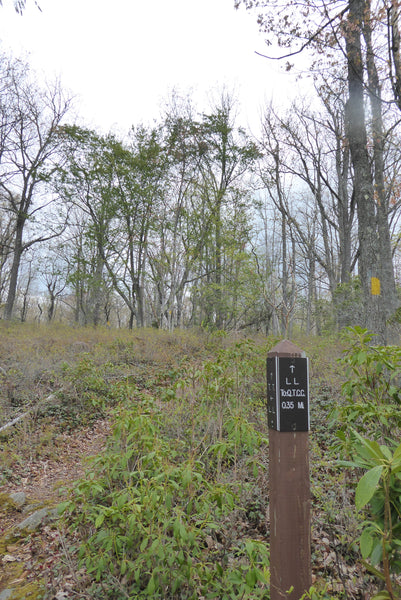 Lincoln Loop Quehanna Wild Area Moshannon State Forest PA