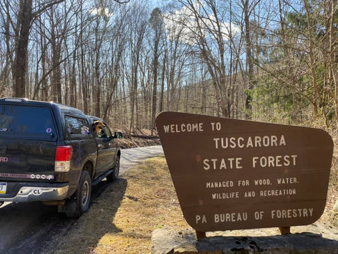 Tuscarora State Forest