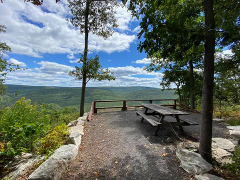 Tuscarora State Forest overlook