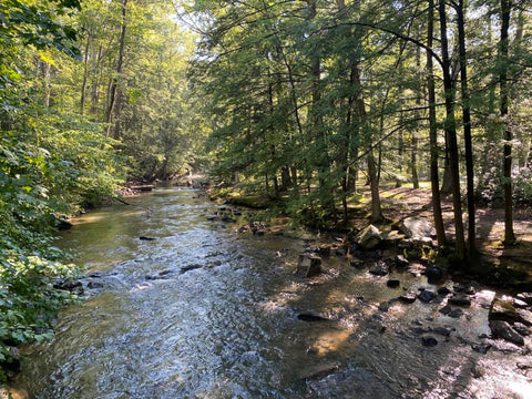 Tuscarora State Forest Licking Creek