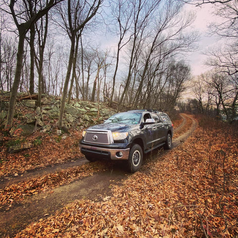 Tuscarora State Forest dirt road