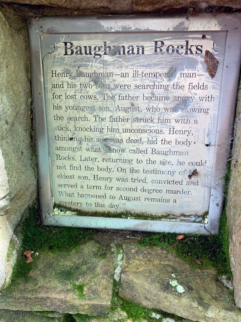 Baughmans Rocks Hiking Trail Finding Lizards Mt Davis Highest Point