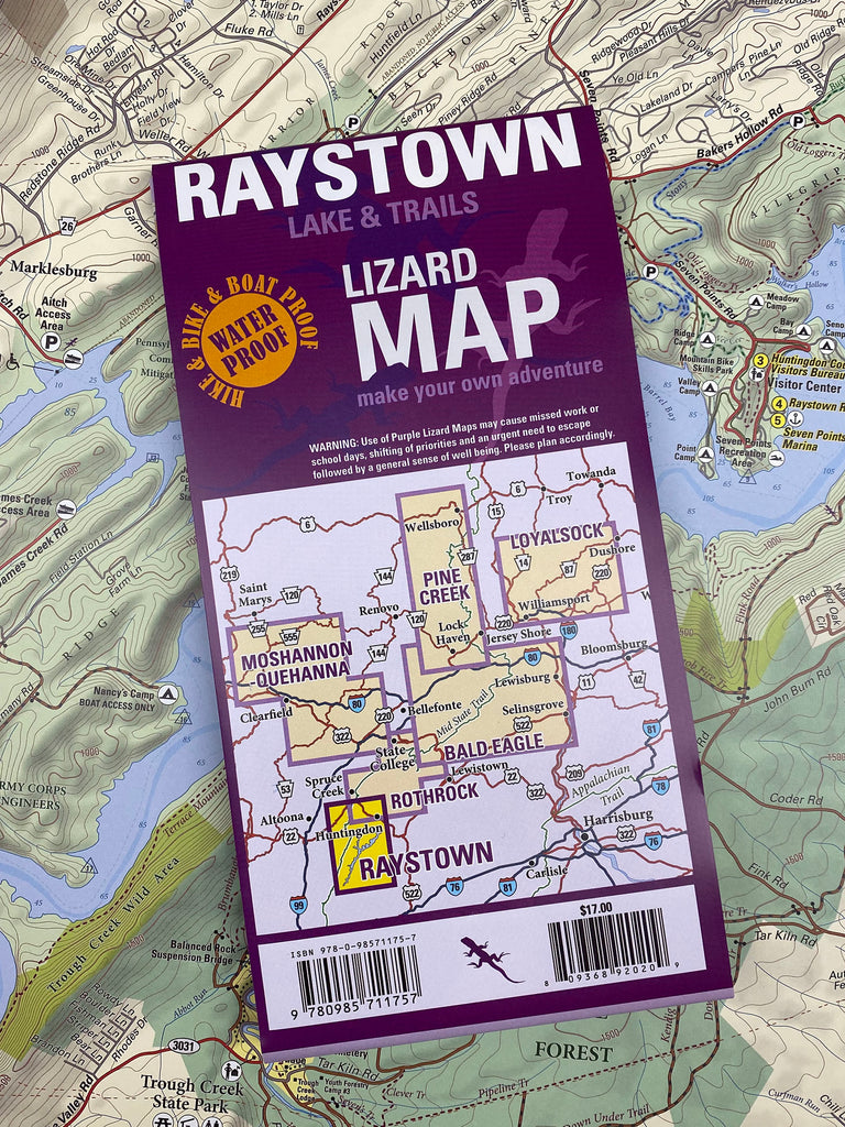 Raystownbackcover 1024x1024 ?v=1616081089