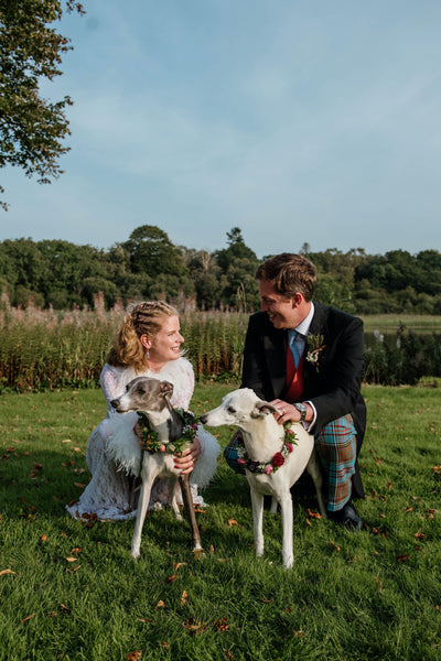A bride and groom and their whippets
