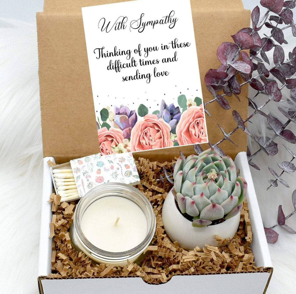 Sympathy Gift Boxes Sympathy Succulents Natural Succulents