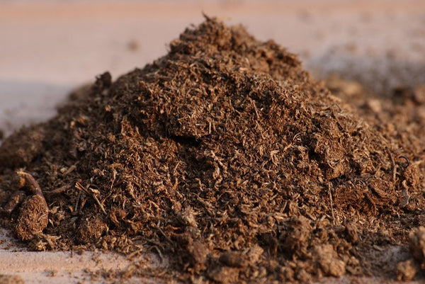 Pile of dirt